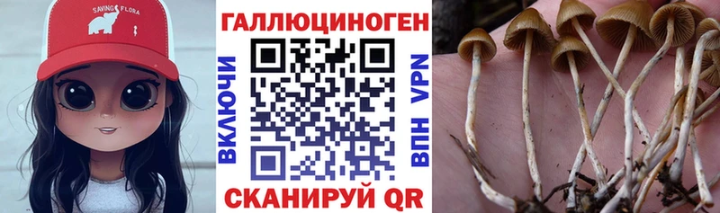 Псилоцибиновые грибы Magic Shrooms  Топки 